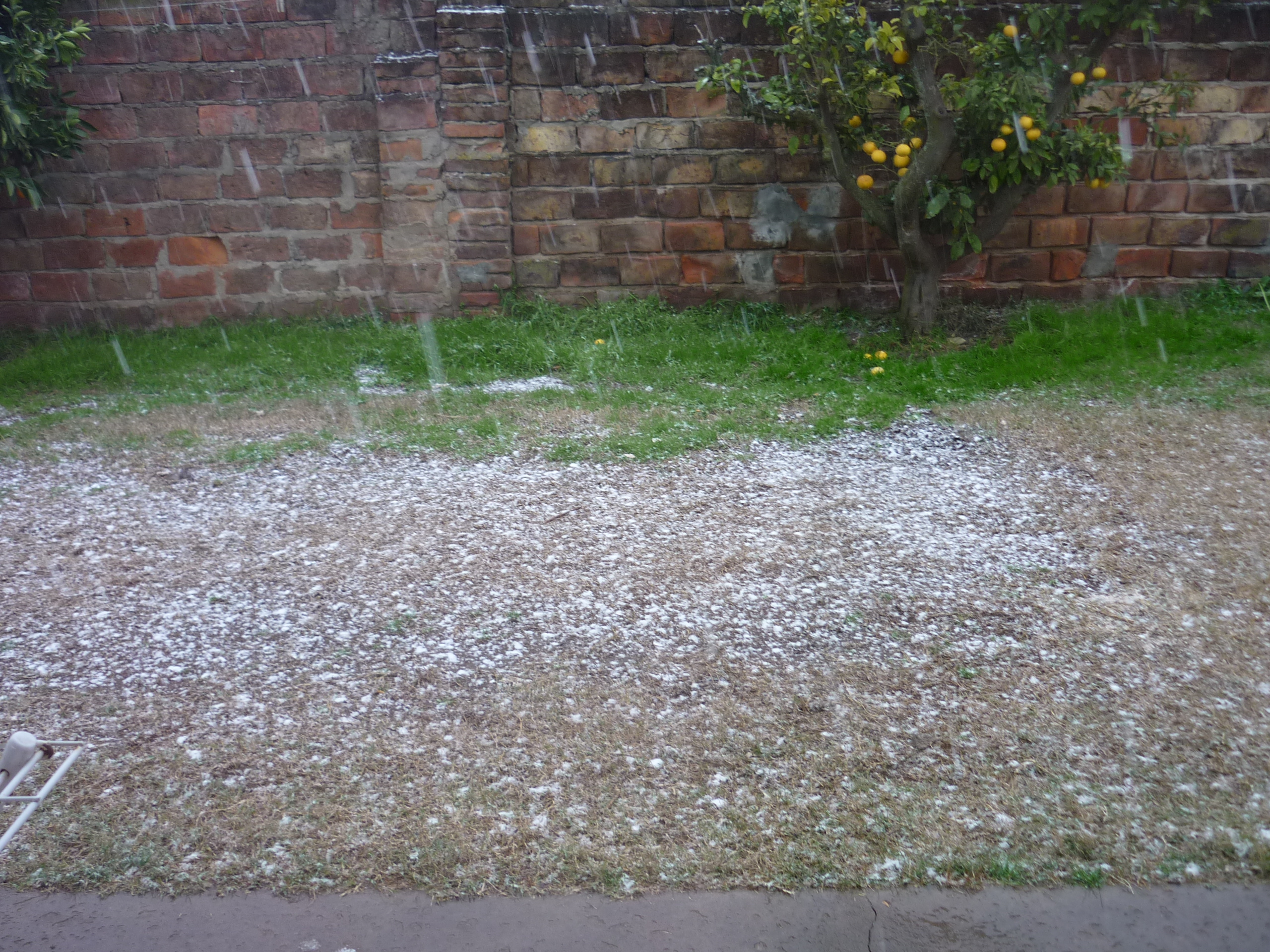 fotos/2010-07-18 - Nevada  y carneada/P1010264.JPG